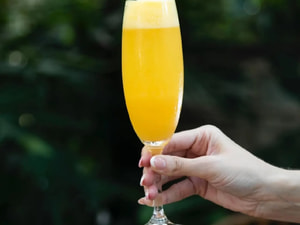 Mimosa
