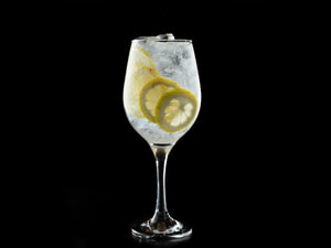 Gin Tônica