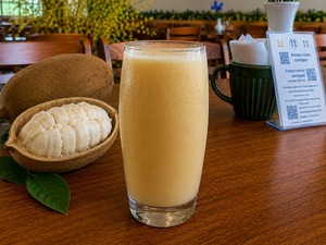 Suco de Cupuacu