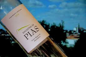 Vinho Encostas de Pias -Bse