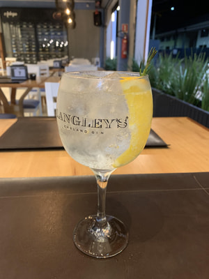 Gin Tônica Importado