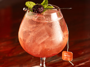 Gin Tonica Silvestre