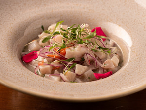 Ceviche