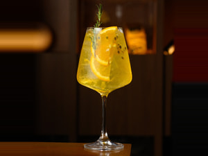 Gin Tropical Hh