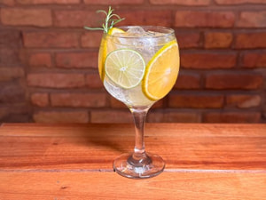 gin Tonica