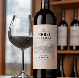 Vinho Miolo Malbec