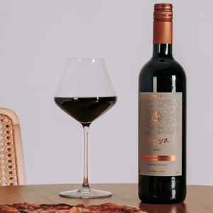 Vinho Tinto Seco Miolo Seival
