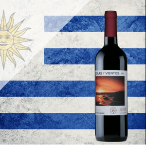 Olas Y Vientos- Cabernet Sauvignon