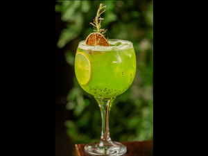 Gin I Love Kiwi