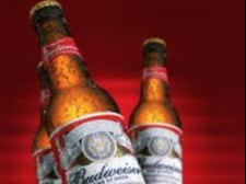 Budweiser 355Ml