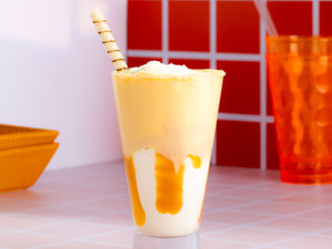 Shake  com Ninho Premium