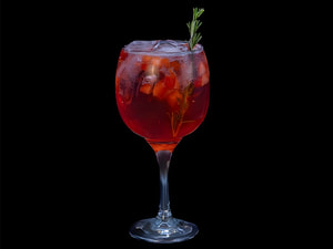 Gin Tonica Cranberry
