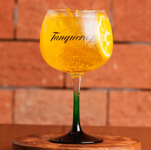 Gin Tropical