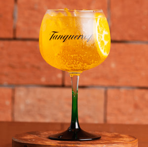 Tanqueray Tropical