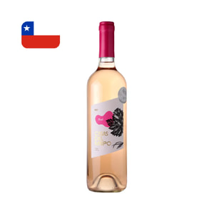 Chile - Casas Del Maipo Rose