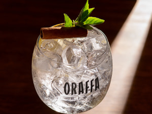gin Tônica
