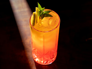 sex on the Beach