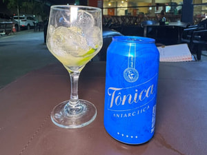 Agua Tonica Lata
