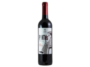 Vinho Pintus 750Ml Tinto