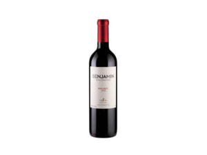 Vinho Argentino Benjamin Nieto 750Ml Malbec Tinto