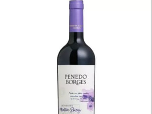 Vinho Penedo Borges Expresion Malbec Shiraz Argentino 750Ml