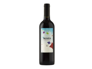 Vinho Chileno Volantin 750Ml Carmenere