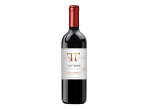 Vinho Chileno Tantehue Chileno 750Ml Cabernet Sauvignon