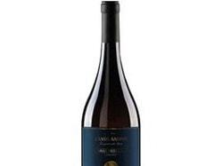 Vinho Chileno Canto Andino Gran Reserva 750Ml Chordonnay