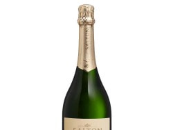 Espumante Salton Ouro 750Ml Moscatel