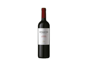 Vinho Argentino Benjamin Nieto 750Ml Cabernet Sauvignon Tinto