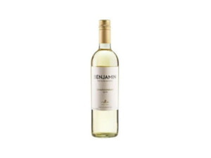 Vinho Argentino Benjamin Nieto 750Ml Chardonnay