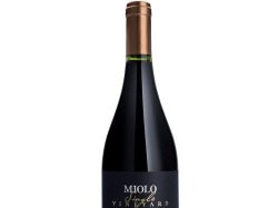Vinho Miolo Single Vineyard Tto Seco Touriga Nac 750Ml