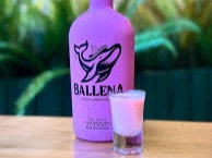 Dose de Balena