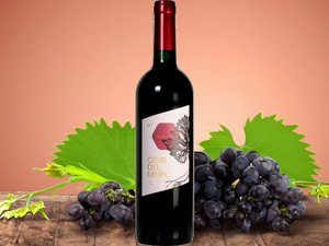 Vinho Tinto Casa Del Maipo Cabernet Sauvignon