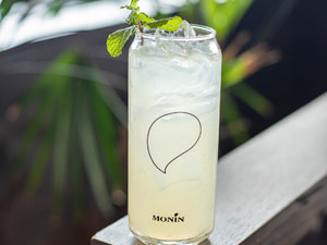 Iced Mojito 