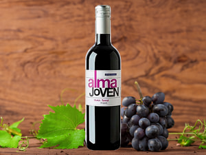 Vinho Alma Jovem Tannat 750 Ml