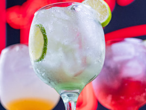 Gin Tonica Sabores