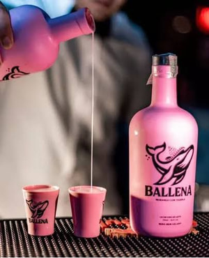 Licor Ballena Garrafa