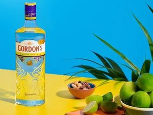 Dose Gin Gordon'S