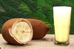 Suco de Cupuacu 400Ml